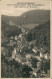 Bad Grund (Harz) Panorama-Ansicht Schönhoffsblick Mit Badehaus 1920 - Bad Grund