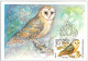 Russia  USSR 1979 Maximum Cards Fauna Birds Bird Oiseaux Vögel Uccelli Pássaros Pájaros - Maximum Cards