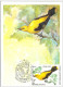 Delcampe - Russia  USSR 1979 Maximum Cards Fauna Birds Bird Oiseaux Vögel Uccelli Pássaros Pájaros - Cartoline Maximum