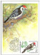 Delcampe - Russia  USSR 1979 Maximum Cards Fauna Birds Bird Oiseaux Vögel Uccelli Pássaros Pájaros - Maximumkaarten