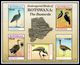 (288-289) Botswana  2016 / Birds Sheet / Bf / Bloc Oiseaux / Vögel / Vogels  ** / Mnh  Michel BL 54 - Botswana (1966-...)