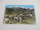 Delcampe - LOT DE +DE 100 Cartes ANIMAUX - CHIEN CHAT ANE DAUPHIN SINGE ELEPHANT OISEAUX Etc - Verzamelingen & Kavels