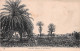 NIGER Palmiers Datiers De MYRRHIA à Zinder Oblitération Conakry Guinéa (Scans R/V) N° 41 \MO7008 - Niger