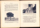 Delcampe - Rome Par Noel Guy 1939 C666 - Oude Boeken