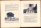 Delcampe - Rome Par Noel Guy 1939 C666 - Libri Vecchi E Da Collezione