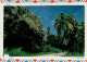 NEW CALEDONIA 1988 AIRMAIL LETTER SENT FROM POINTDIMIE TO TOULON - Lettres & Documents