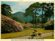 Irlande - Kerry - In The Gardens Of Muckross House - National Park - Killarney - CPM - Voir Scans Recto-Verso - Kerry