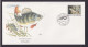 Yugoslavia Jugoslawien Europa Fauna Fische Flussbarsch Schöner Künstler Brief - Storia Postale