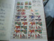 Delcampe - Stockbook With USA MNH - Collections