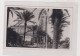 EGYPT 1925 Nice Postcard To Germany PAQUEBOT PORT-SAID Ship Post - Lettres & Documents