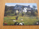 Delcampe - LOT De 63 CP :  THEME : BATIMENT - ARCHITECTURE MOULIN FERME CHAUMIERE FERMER Etc Etc Voir Photos - Colecciones Y Lotes