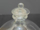 Delcampe - -SUPERBE ANCIEN PIEGE A MOUCHES GOBE MOUCHES PIEGE A GUEPES VERRE Soufflé   E - Verre & Cristal