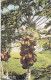 Delcampe - FRANCE - Joli Lot De 25 Cartes  PALMIERS COCOTIERS - Palm Coconut  (ARBRES Trees 11 CPA 14 CPSM Dent.) + 2 GF Offertes - 5 - 99 Cartoline