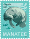 USA 2024 MiNr. XXXX Etats-Unis Marine Mammals Florida Manatee (Trichechus Manatus Latirostris) 1v MNH**  1,40 € - Sonstige & Ohne Zuordnung