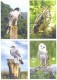 2016. Predatory Birds Of Moldova, Prepayed Post Cards, Set Of 9v, Mint/** - Águilas & Aves De Presa