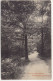 Path By Queensmere, ,Wimbledon Common. - (England) - 1906 - Surrey