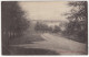 Wimbledon Park And Lane. - (England) - 1906 - Surrey