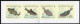 België B20 - Natuur - Vissen - Nature - Poissons - 1990 - 1953-2006 Modernes [B]