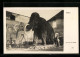 AK Mamut, Rekonstruktion Eines Ausgewachsenens Mammuts  - Éléphants