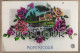 CPA 82 - MONTRICOUX - UN BONJOUR DE MONTRICOUX - TB CP Fantaisie Sur Le Village Avec Fleurs Et Paysage Dessiné - Autres & Non Classés