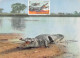 BURKINA FASO BAZOULE Crocodile Sacré De Bazoulé Timbre Du Gabon édition Hoa-Qui    (Scan R/V) N° 60 \MP7166 - Burkina Faso