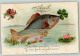 10642201 - Fisch Hufeisen Seerose Kleeblatt AK - 1er Avril - Poisson D'avril