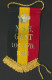 GENT * VLAGJE * NATIONALE STRIJDERSBOND BELGIE * 10e AFD * 1984 * PETIT DRAPEAU * WOII * 16 X 7.50 CM - Bandiere