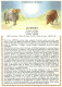 Astrologie - Astrologie Hindoue - Le Maesha - Illustration Chantal Beaumont - CPM - Carte Neuve - Voir Scans Recto-Verso - Astrología