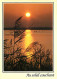 Coucher De Soleil - CPM - Voir Scans Recto-Verso - Contre La Lumière