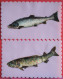 Lot De 2 Cartes - Poissons Cartonnés (truite Et Saumon) Collés Sur Plastique Dentelé (format 9x14) - 1er Avril - Poisson D'avril