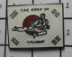 713B Pin's Pins / Beau Et Rare : SPORTS / CLUB TAe-KWON-DO VALMONT T'as Le Look Coco - Judo