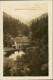 Ansichtskarte Hohegeiß-Braunlage Wolfbachmühle 1922 - Braunlage