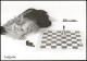 Schach Chess Limitierte Motivkarte "Aufgabe" Frau Vor Schachbrett 1990 - Contemporain (à Partir De 1950)