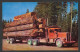 Camions & Poids Lourds - Paul Bunyan's Toothpisks - Photo Ken Stone - Par Scenic Art - No: 4462G - Camión & Camioneta