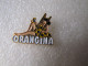 PIN'S       ORANGINA  PIN UP - Bevande