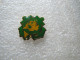 PIN'S   POISSON  MAY FLOWER 91 - Animaux