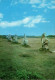 N°2285 Z -cpsm Camaret -alignement De Lagatjar- - Dolmen & Menhirs