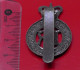 Royal Horse Guards Regiment Modern Metal Cap Badge British Army Queens Crown ERII - Armee