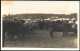 Estonia Tallinn Agricultural Fair Cows Bulls Bullocks Herd Old Real Photo PC 1933. By Parikas - Estonia