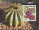 Sierra Leone 2020**,  Verschiedene Themen: U.a. Kakteen / Sierra Leone 2020, MNH, Various Topics: Including Cacti - Cactus