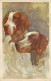 ANIMAUX , Chien , Illustration De Corbella , * 502 35 - Corbella, T.