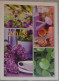 Petit Calendrier De Poche 2012 Fleur Lilas Arrosoir - Small : 2001-...