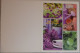 Petit Calendrier De Poche 2012 Fleur Lilas Arrosoir - Kleinformat : 2001-...