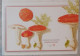 Petit Calendrier De Poche 2008 Champignon Amanite Tue Mouches Pharmacie  Rochefort Charente Maritime - Small : 2001-...