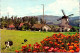 6-4-2024 (1 Z 12) USA - Slovang (Danish Town) Windmill (2 Postcard) - Moulins à Vent