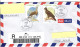 Philippines 2009, Bird, Birds, Eagle (2009C), Circulated Cover, Good Condition - Arends & Roofvogels