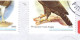 Philippines 2009, Bird, Birds, Eagle (2009C), Circulated Cover, Good Condition - Adler & Greifvögel