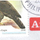Philippines 2009, Bird, Birds, Eagle (2009B), Circulated Cover, Good Condition - Águilas & Aves De Presa
