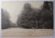 BELGIQUE - BRUXELLES - Bois De La Cambre - La Cloche - 1903 - Forêts, Parcs, Jardins