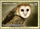 United Nations 2012 Fauna Birds Endangered Species - XX New York Geneva Vienna Joint Issues 12v MNH** 16.00 € - Emisiones Comunes New York/Ginebra/Vienna